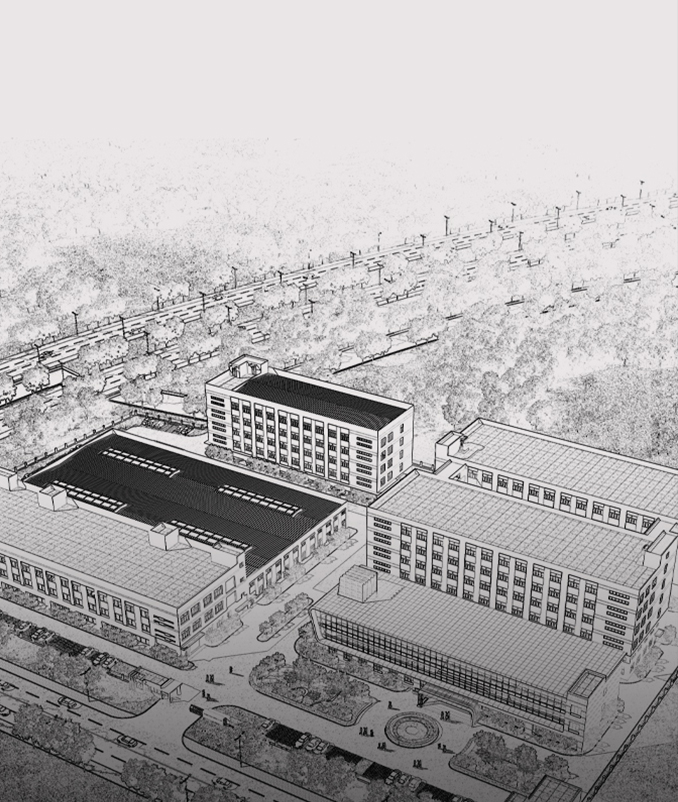 ������ʱ����